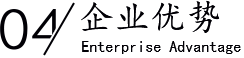 企業(yè)優(yōu)勢(shì)/Enterprise Advantage